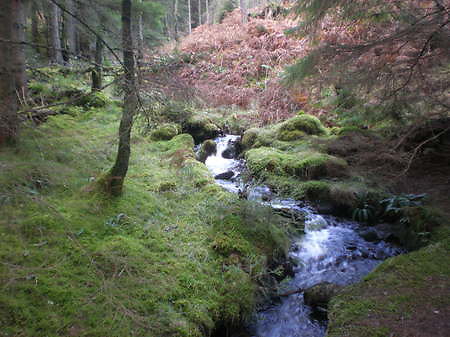 Internal Family Systems (IFS). Stream, Pitlochry